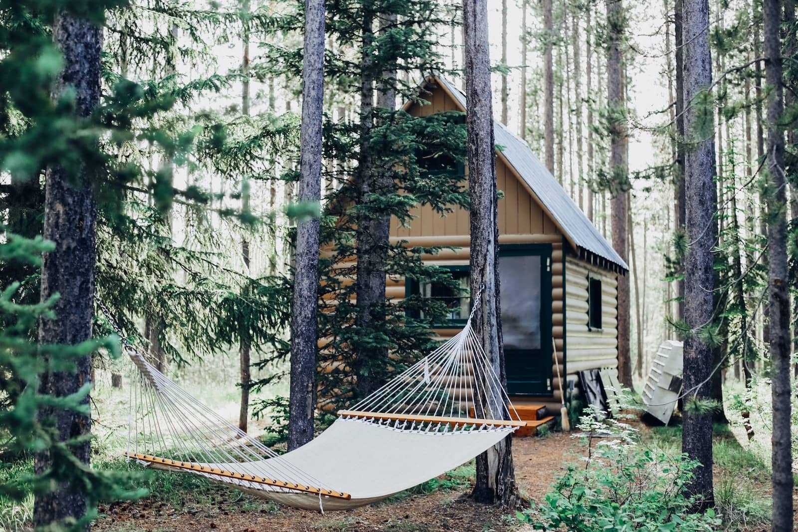 Airbnb vs. Hotels: Which One is Better (and Cheaper)?